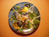 kevin daniel collector plate