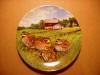 wayne anderson collector plate