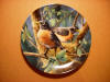 kevin daniel collector plate